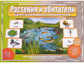 Демонстрационный материал "Растения и обитатели пресноводных водоемов" Демонстрационный материал "Растения и обитатели пресноводных водоемов"
