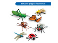 Комплект "Юный энтомолог в детском саду" (для группы) Комплект "Юный энтомолог в детском саду" (для группы)