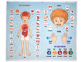 Панно "Тело человека" (88 элементов) Панно "Тело человека" (88 элементов)