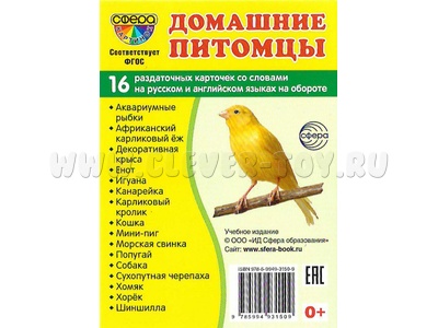 Раздаточные карточки Домашние питомцы (16 шт. на русс./анг. языках) Раздаточные карточки Домашние питомцы (16 шт. на русс./анг. языках)