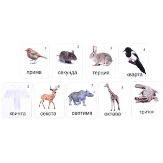 Магнитные карточки Животные (Интервалы)