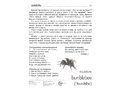 Демонстрационные картинки СУПЕР в папке. Насекомые (16 шт.)