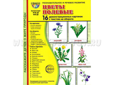 Демонстрационные картинки СУПЕР в папке. Цветы полевые (16 шт.)
